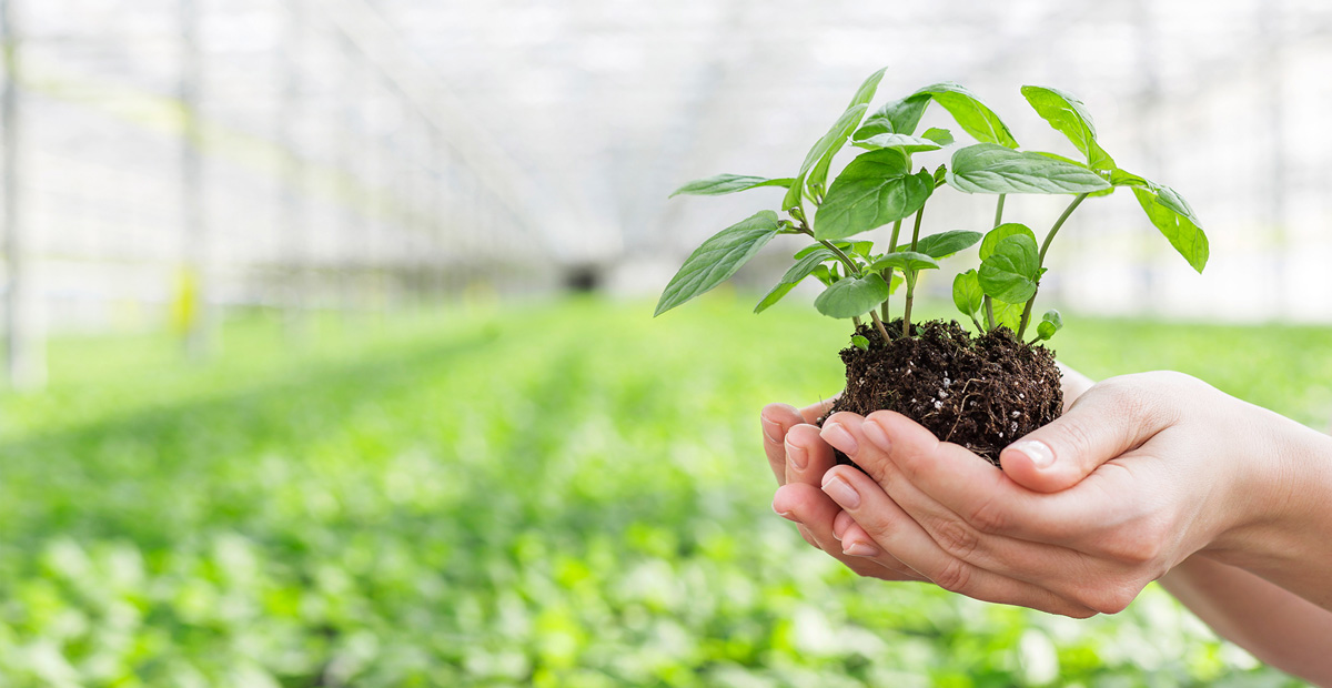 環(huán)保行業(yè)